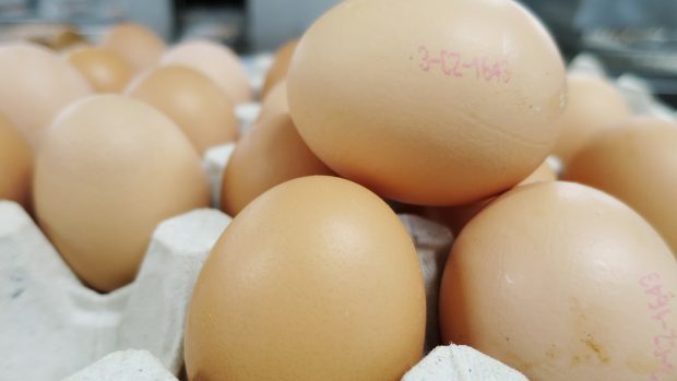 Podle kódu na každém vejci poznáte, odkud pochází a zda bylo sneseno v klecovém nebo volném chovu