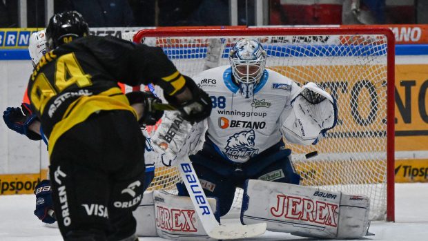 Litvínov porazil hokejisty Brna 2:1, zápas se rozhodoval v prodloužení