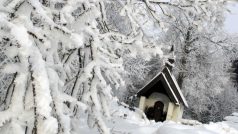 mráz, sníh, zima, kaple, Německo