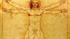 Da Vinciho nákres mužského těla