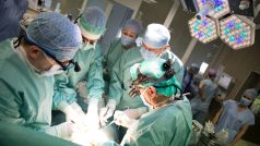 Lékaři v IKEMu provádějí první transplantaci dělohy v ČR