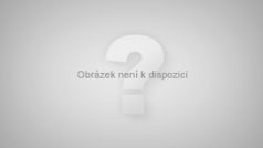 Slovenský autobus v Srbsku havaroval, zahynulo nejméně pět lidí