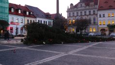 Vánoční strom ráno po svém pádu na náměstí v České Lípě