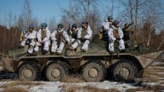 Ukrajinští vojáci se účastní vojenského cvičení v Žytomyrské oblasti