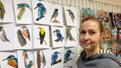 Od začátku ruské invaze na Ukrajinu tráví Lenka Benešová z Prahy několik hodin denně tím, že maluje vodovkami pestrobarevné ptáky