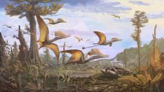 pterosaurus Ceoptera evansae