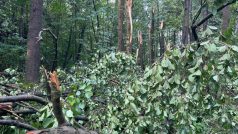 Velké škody v přerovské rezervaci Žebračka