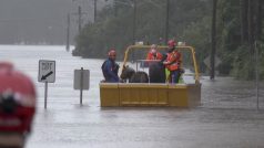 Záchranáři pomáhají poníkům dostat se ze zaplavené oblasti v Milpeře, předměstí Sydney