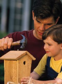Otec se synem vyrábějí budku pro ptáky
