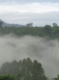 Pralesy Nové Guiney v ranním oparu