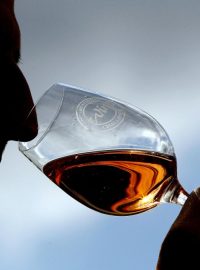 Víno (ilustrační foto)