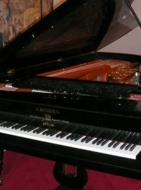Unikátní klavírní křídlo firmy Carl Bechstein bylo původně vyrobeno pro carský palác