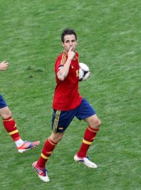 Španělský fotbalista Cesc Fabregas (vpravo) se raduje spolu s Davidem Silvou z vyrovnávacího gólu proti Itálii