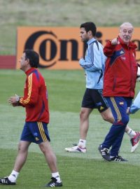 Španělští fotbalisté pod vedením trenéra Vicente del Bosque trénují před čtvrtfinále s Francií. Euro 2012