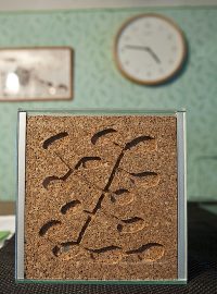 Chovatel mravenců v Přeborově