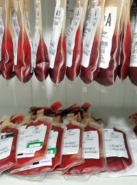 Daruj krev s českým rozhlasem, darování krve, krevní transfuze, krev