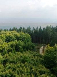 Výhled z rozhledny Cibulka na Šibeničním vrchu u Oloví na Sokolovsku