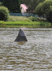 Dvoumetrová žraločí ploutev měla podle záměru umělců zdobit koryto řeky Berounky u Dobřichovic. Plastika vznikla v rámci sympozia Cesta mramoru