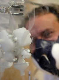 Čeští vědci vyvinuli funkční model lidských plic, které mohou být používány k simulaci problémů jako je astma a další chronická onemocnění a jejich léčba