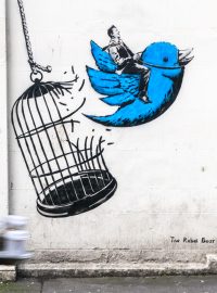 Street art od umělce, který si říká Rebel Bear, zobrazující přechod Twitteru pod Elona Muska. Nakolik je Muskovo vyobrazení trefné, můžeme spekulovat