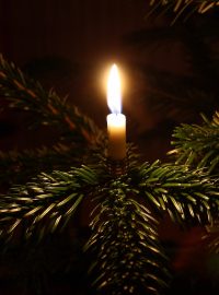Svíčka na vánočním stromečku