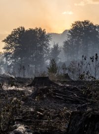 Požár lesa v Národním parku České Švýcarsko, Mezní Louka nedaleko Hřenska