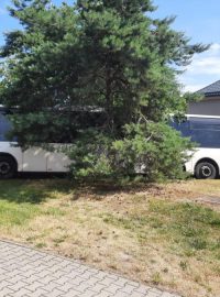 V Lutíně havaroval autobus, naboural do domu