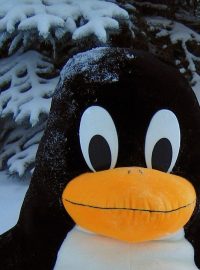 Tučňák Tux, maskot operačního systému Linux