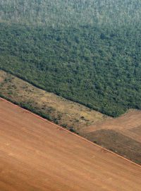 Letecký pohled na amazonský deštný prales.