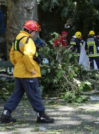 Několik lidí zabil padající strom během náboženských oslav na Madeiře.