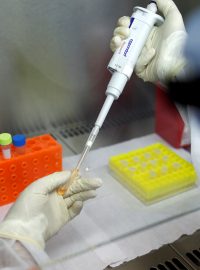 Vědec testuje vzorek na přítomnost nového koronaviru. (ilustrační foto)