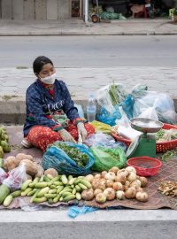Na trhu na ulici nakupuje až sedmdesát procent obyvatel jihovýchodní Asie a kromě toho, že pandemie výrazně zúžila výběr, hlavně jim potraviny prudce zdražila