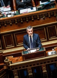 Francouzský senát se zabývá návrhem nového imigračního zákona