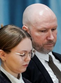 Breivik se podle agentury AFP se na rozdíl od svých předchozích veřejných vystoupení zdržel jakýchkoli provokací