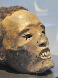 Jedna z mumifikovaných hlav maorských mužů v novozélandském muzeu