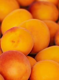 Ovoce, meruňky (ilustrační foto)