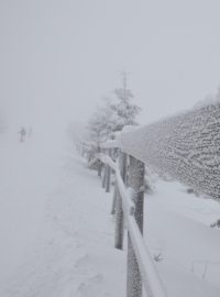 Počasí, zima, sníh, mlha (ilustrační foto)