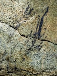 V Kateřinské jeskyni v Moravském krasu objevili archeologové další kresbu. Nazvali ji Čert. Pochází z halštatského období ze 7. až 6. století našeho letopočtu, je tedy přibližně 2600 let starý