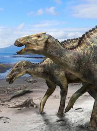 Rekonstrukce dinosaura, kterého vědci nazvali Kamuysaurus japonicus.