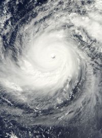 Tajfun Lekima