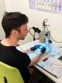 Michał Płygawko připravuje jeden z gombíků na analýzu elektronovým mikroskopem