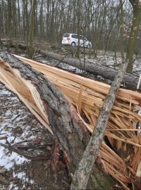 Hasiči na jižní Moravě za posledních 24 hodin vyjížděli k desítkám událostí v souvislosti se silným větrem. Ilustrační foto.