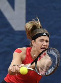 Tenistka Karolína Muchová na turnaji WTA v Praze