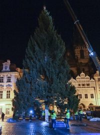 V noci z 22. na 23. listopadu byl na Staroměstské náměstí v Praze převezen vánoční strom