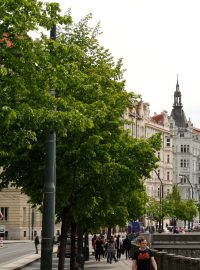 Stromy, Praha, ulice (ilustrační foto)
