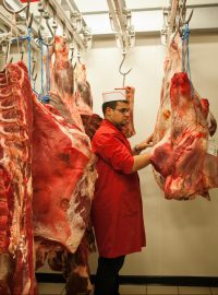 Uskladněné maso zbourané po halal porážce (ilustrační foto).