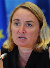 Zvláštní zmocněnkyně ministra zahraničí pro podporu Čechů do institucí EU Jana Hybášková