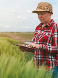 Zemědělství, zemědělec, tablet, moderní technologie