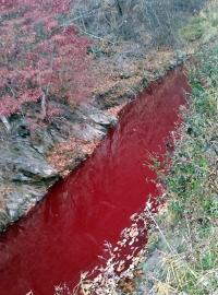 Řeka Imdžin zbarvenák rví poražených prasat