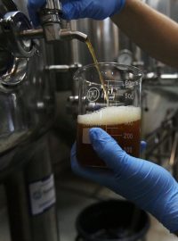 Testování piva v pivovaru v San Salvadoru